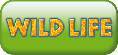 PLAYMOBIL® Wild Life